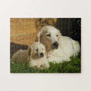 Two Golden Retrievers - Mum & Puppy - Love Jigsaw Puzzle