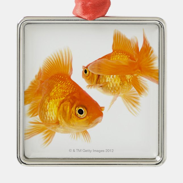 Two Goldfish Crossing Each Other Metal Ornament (Front)