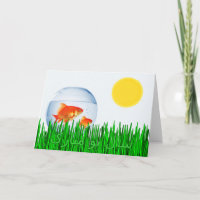 Two Goldfish Sun Spring Equinox Grass سال نو مبار