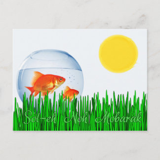 Two Goldfish Sun Spring Equinox Tall Grass Postcard