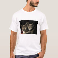 Two Gray Cats Men's Basic T-Shirt