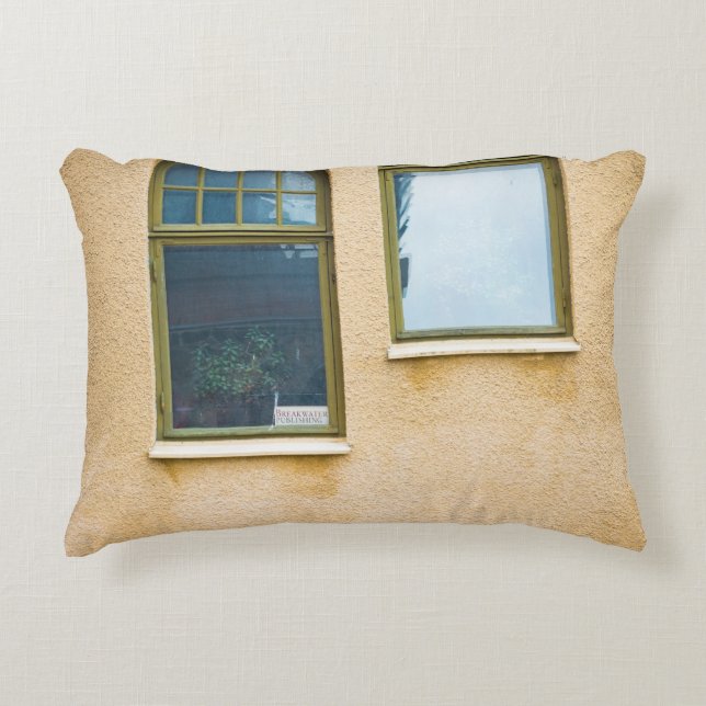 TWO GRAY FRAME GLASS WINDOWS DECORATIVE CUSHION (Front)