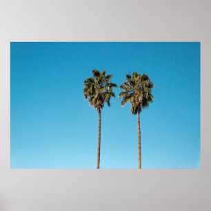 Two green coconut trees poster