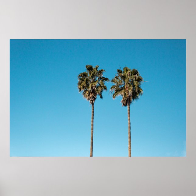 Two green coconut trees poster (Front)