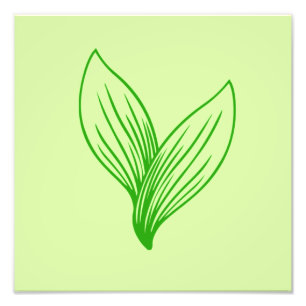 Two Green Leaves Intertwined Photo Print
