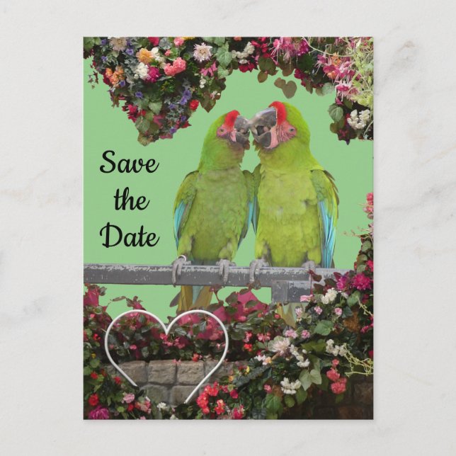 Two Green Parrots Cust. Save the Date Postcard (Front)