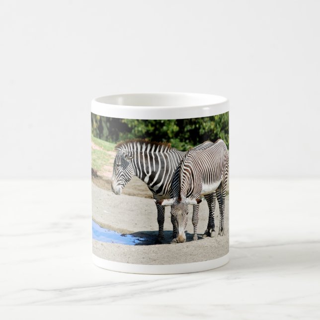 Two Grevy zebras near a pond Coffee Mug (Center)