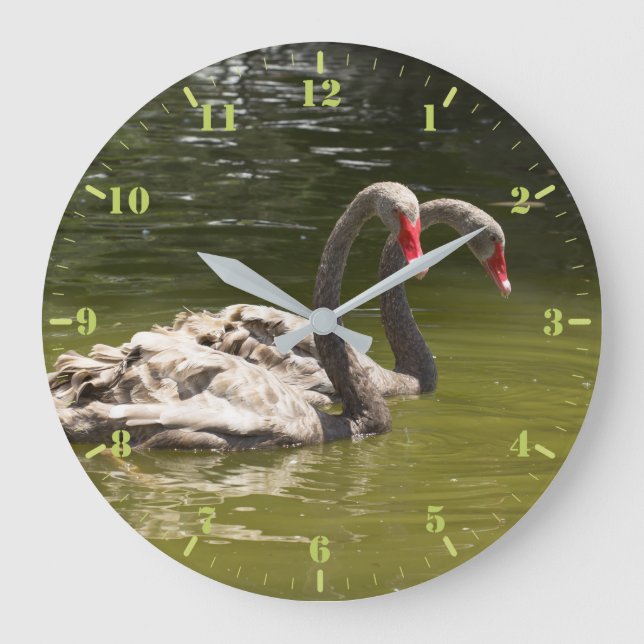 Two grey swans on the lake large clock (Front)