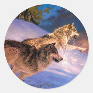 Two grey wolf in winter nature classic round sticker