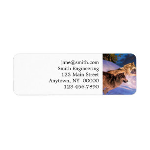 Two grey wolf in winter nature return address label