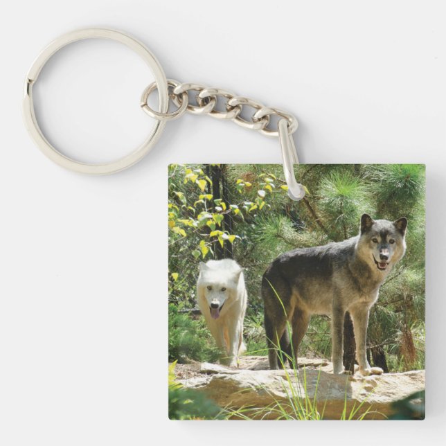 Two Grey Wolves in Forest Key Ring (Front)