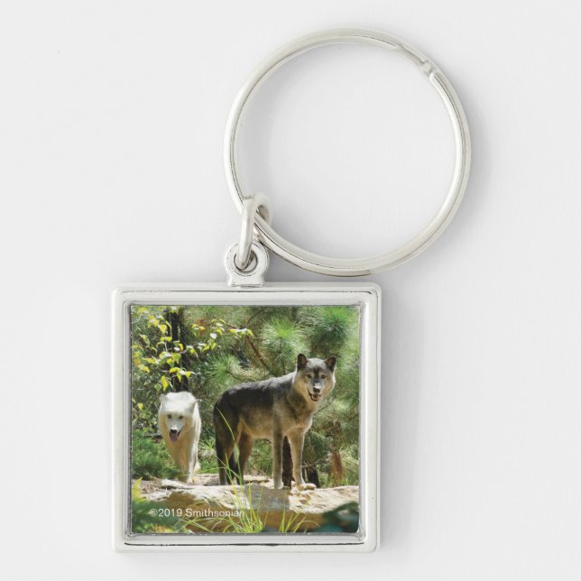 Two Grey Wolves in Forest Key Ring (Front)