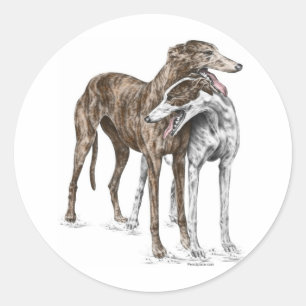 Two Greyhound Friends Dog Art Classic Round Sticker