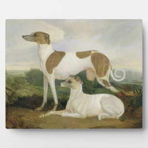 Two Greyhounds in a Landscape (oil on canvas) Plaque