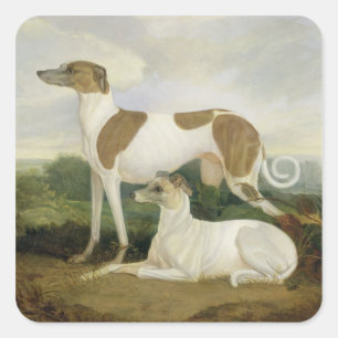 Two Greyhounds in a Landscape (oil on canvas) Square Sticker