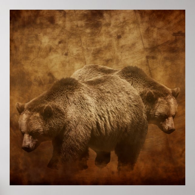 Two Grizzly Bears in a Rustic Setting Poster (Front)