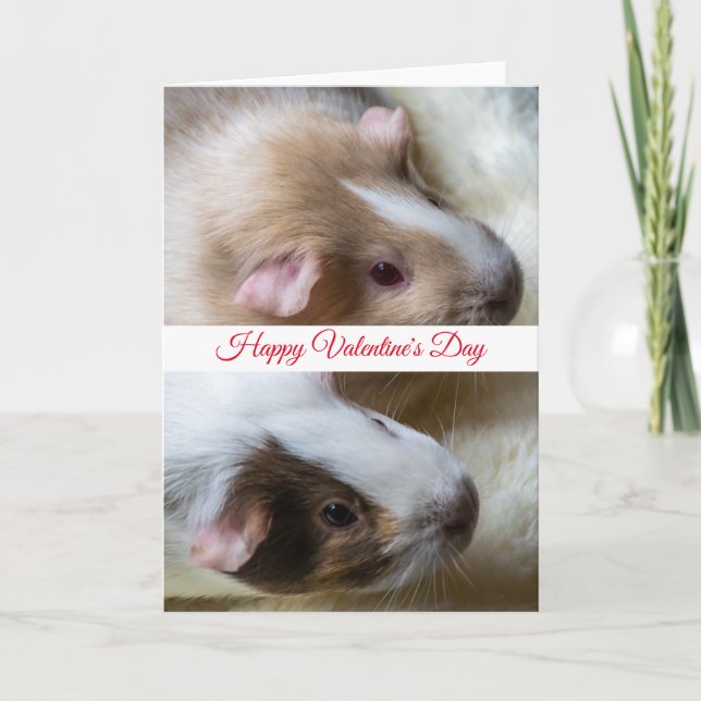 Two guinea pigs Valentine's Day card (Front)