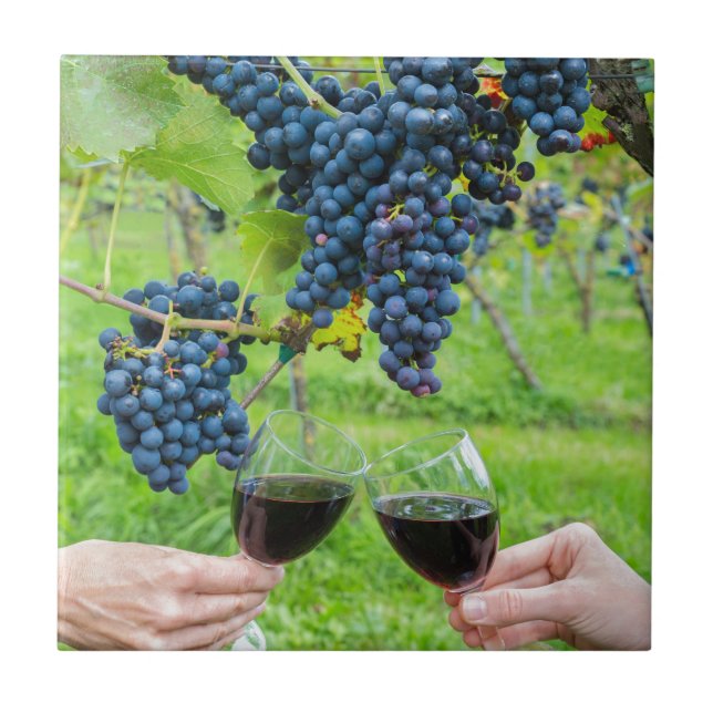 Two hands toasting with red wine near blue grapes ceramic tile (Front)