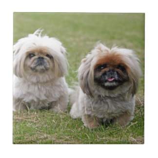 Two Happy Little Puppies Ceramic Tile