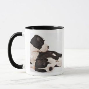 Two Harlequin Great Dane Puppies Mug