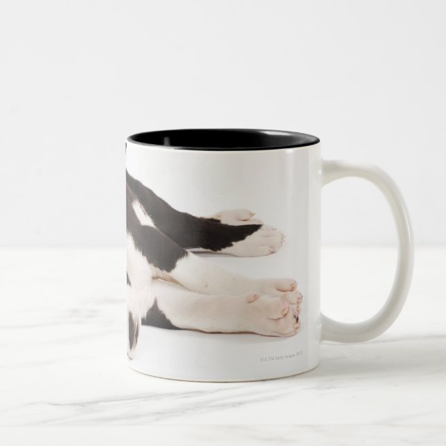 Two Harlequin Great Dane puppies on white Two-Tone Coffee Mug (Right)