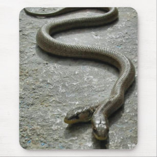 Two Headed Snake Mouse Pad