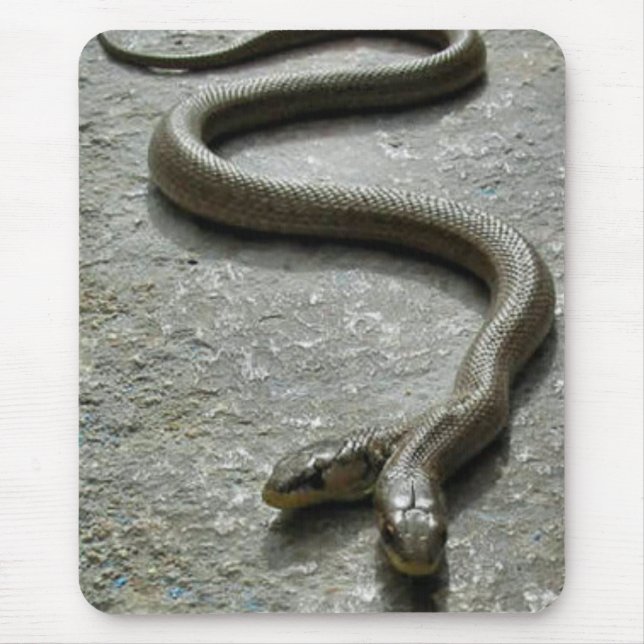 Two Headed Snake Mouse Pad (Front)