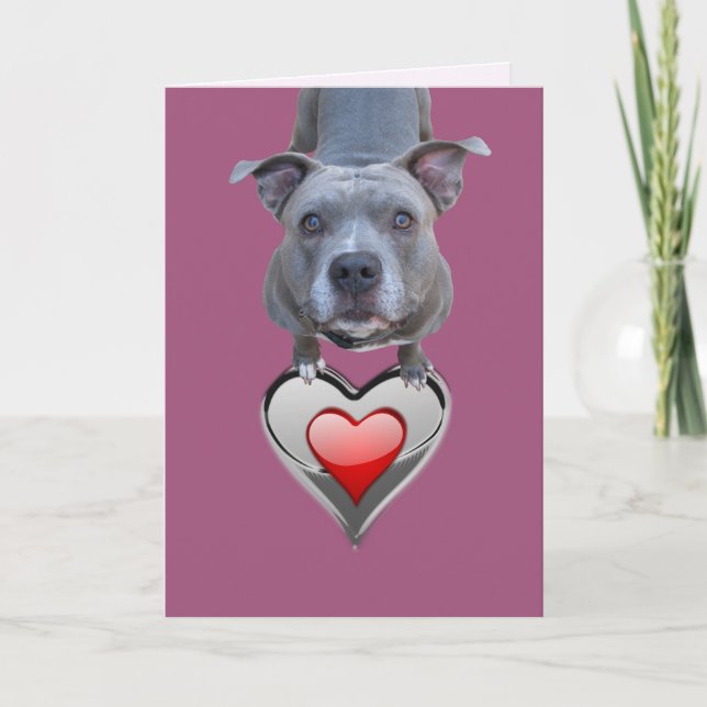 Two Hearts Pitbull Valentine's Day Card (Front)