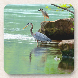 Two Herons by the River Coaster