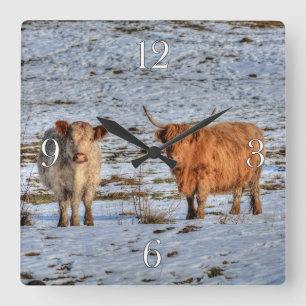 Two Highland Cattle in Winter Snow on a Wall Clock