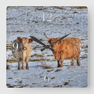 Two Highland Cattle in Winter Snow on a Wall Clock