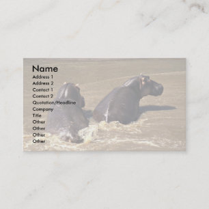 Two hippos business card