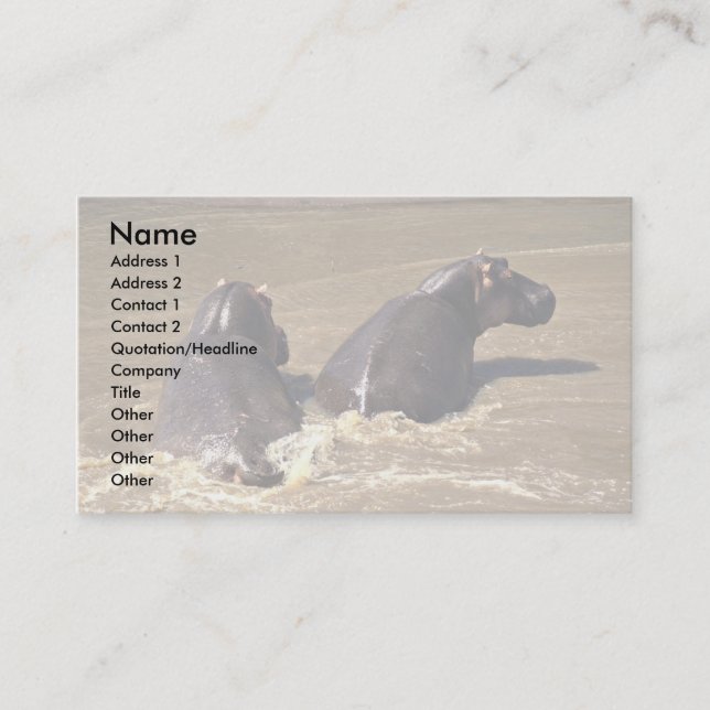 Two hippos business card (Front)