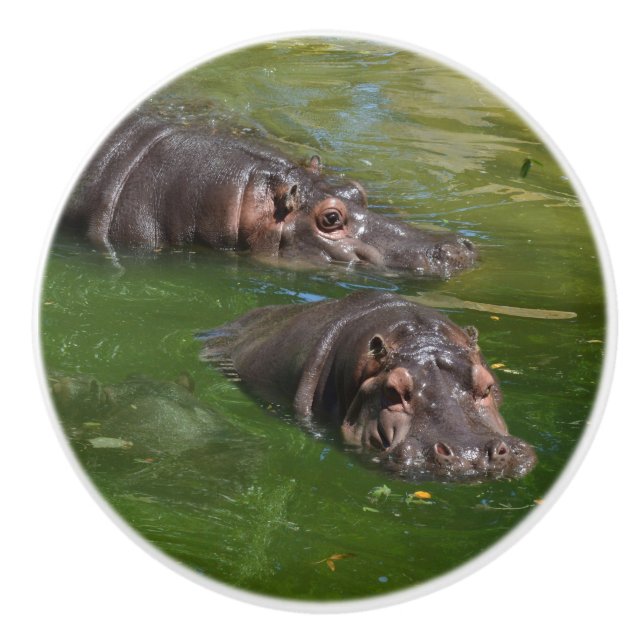 Two Hippos In A Pond, Ceramic Knob (Front)