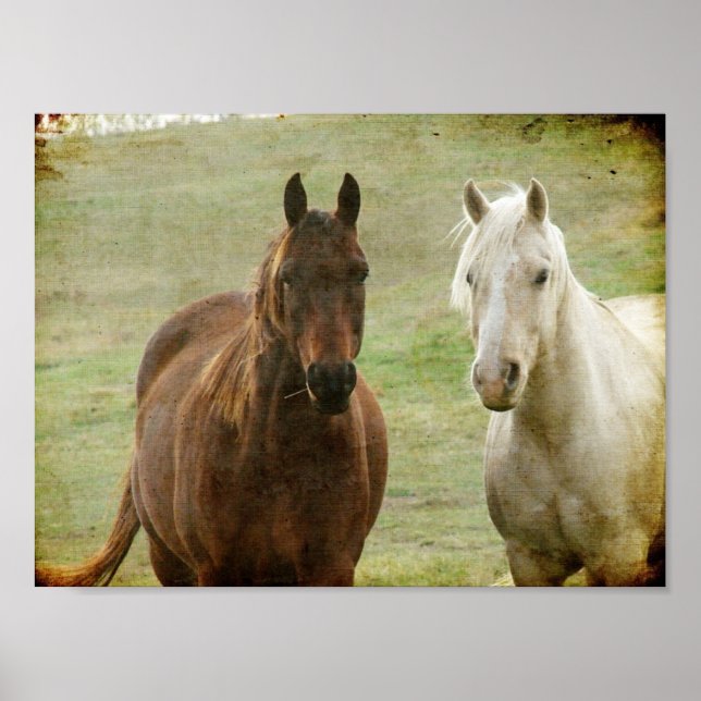 Two Horse Friends Poster (Front)