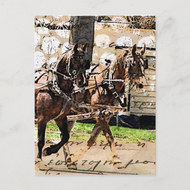 Two Horse Team Mixed Media Collage Postcard (Front)