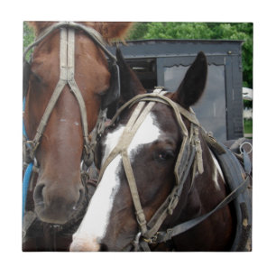 Two Horse Team With One Pinto Ceramic Tile