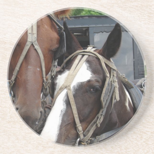 Two Horse Team With One Pinto Coaster (Front)