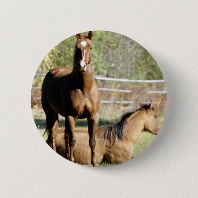 Two Horses at Pasture 6 Cm Round Badge (Front)