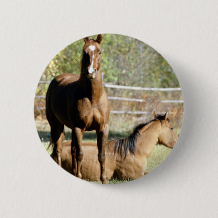 Two Horses at Pasture 6 Cm Round Badge