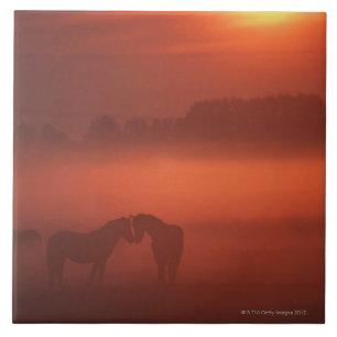 Two horses at sunset ceramic tile