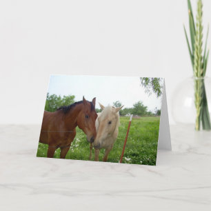 Two Horses - Blank Inside Card