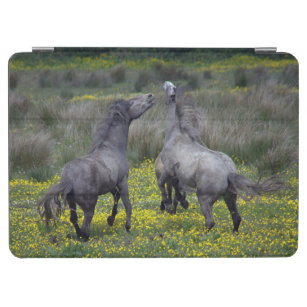 Two Horses Buck and Play iPad Air Cover