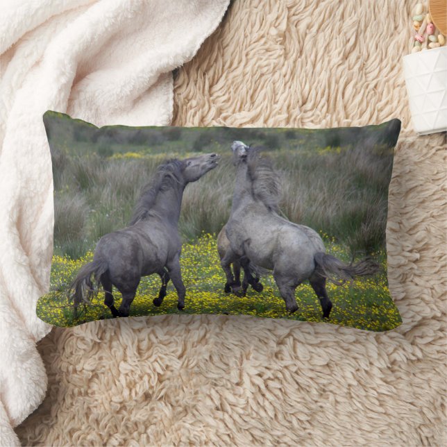Two Horses Buck and Play Lumbar Cushion (Blanket)