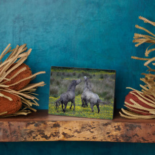 Two Horses Buck and Play Plaque