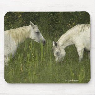 Two horses eating grass mouse pad
