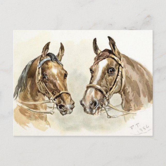 Two Horses from "Studies in Animal Painting" Postcard (Front)