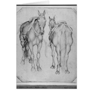 Two horses, from the The Vallardi Album