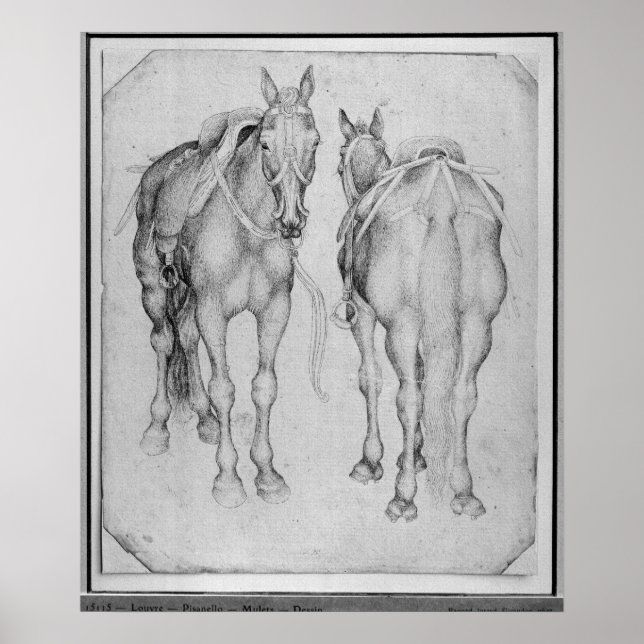 Two horses, from the The Vallardi Album Poster (Front)