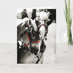 Two Horses Holiday Christmas Greeting Card
